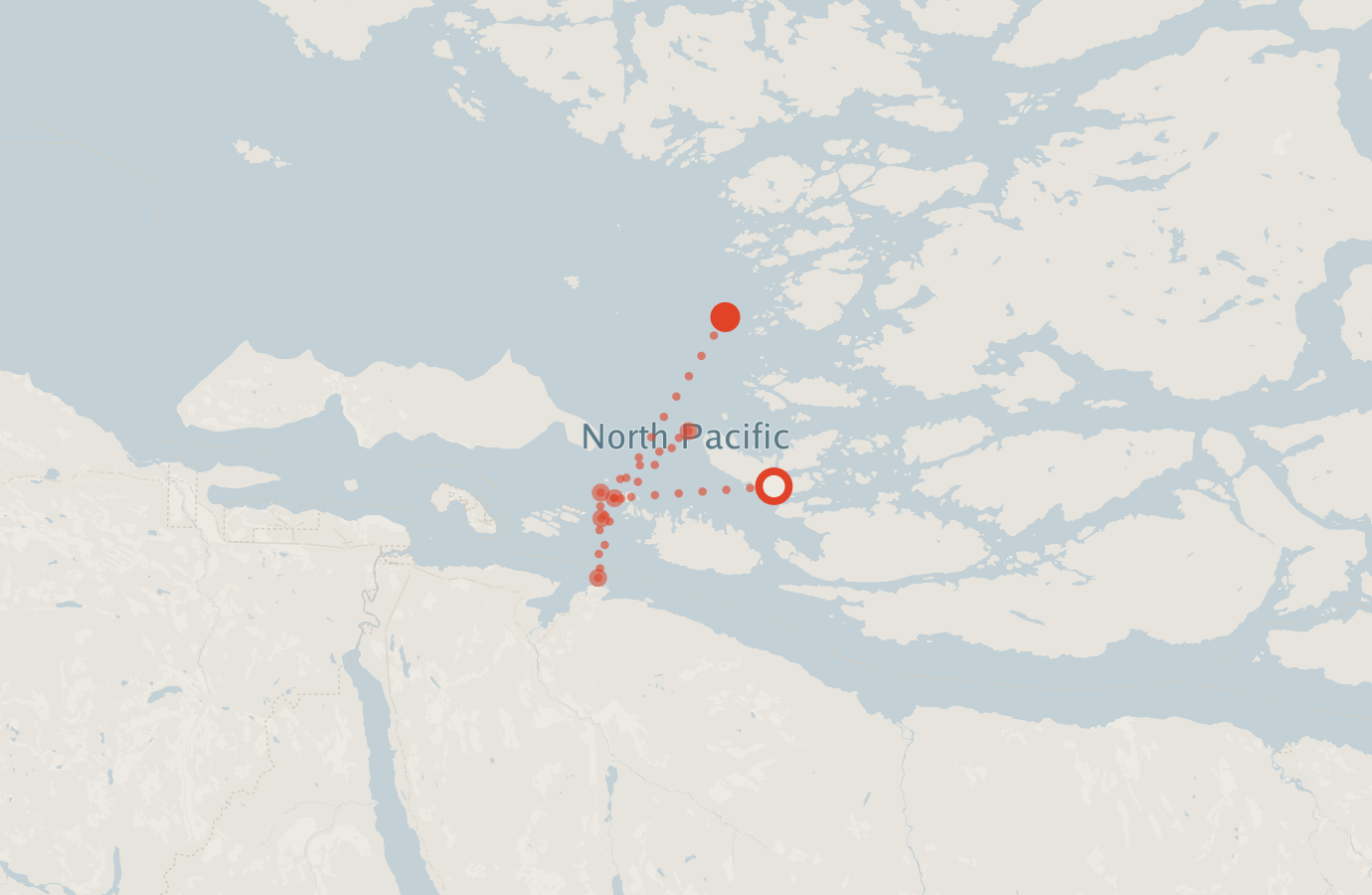 Activity map — real sighting points on an OpenStreetMap basemap