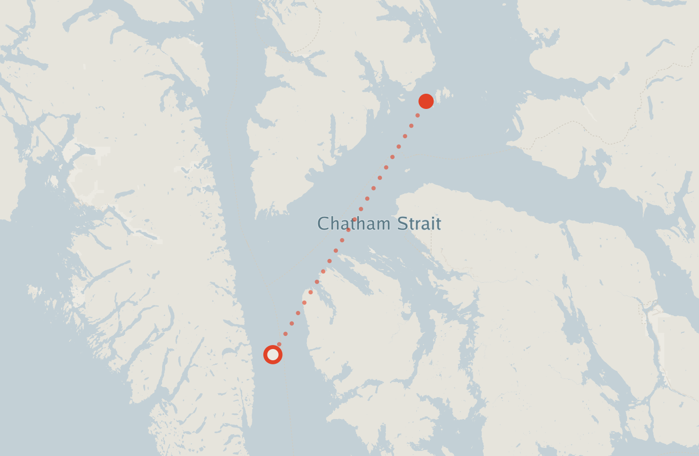 Activity map — real sighting points on an OpenStreetMap basemap