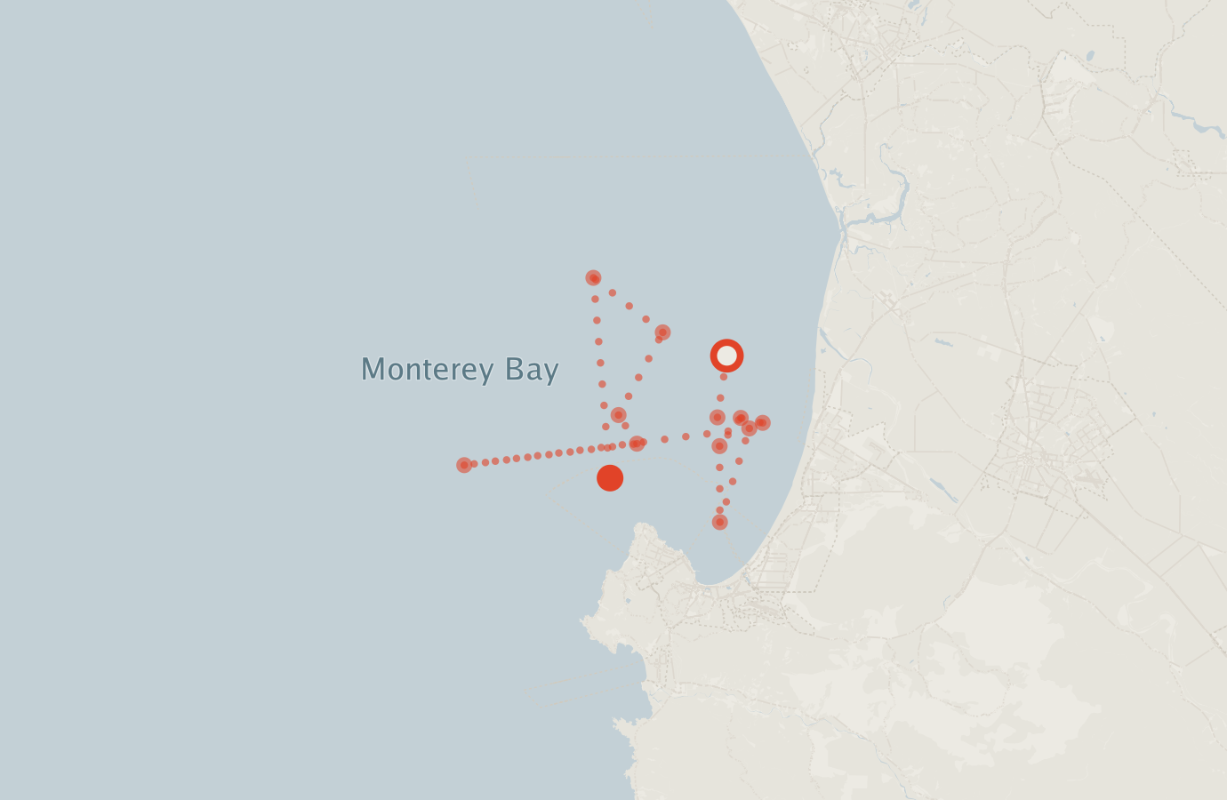 Activity map — real sighting points on an OpenStreetMap basemap