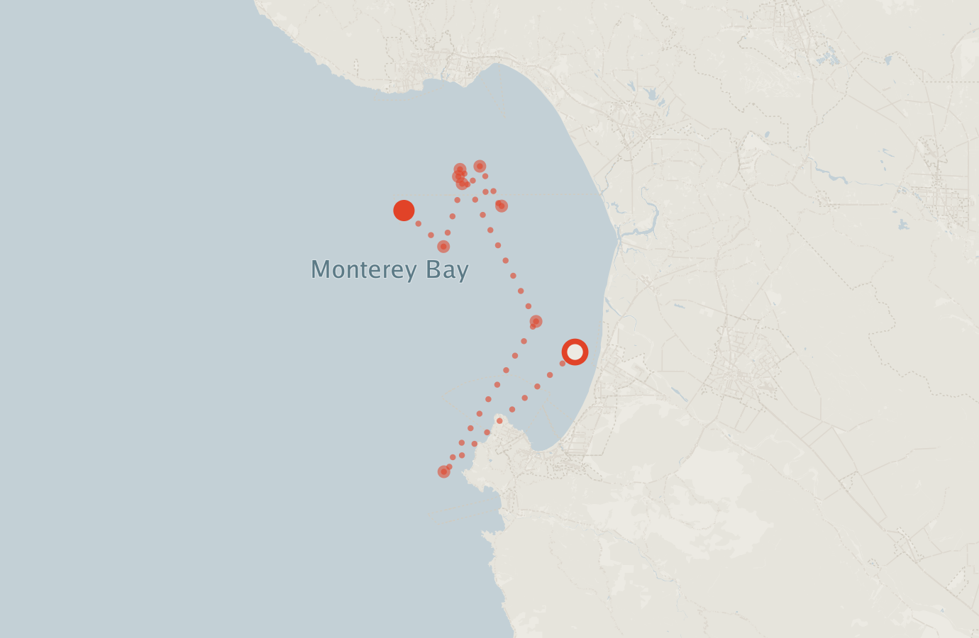 Activity map — real sighting points on an OpenStreetMap basemap