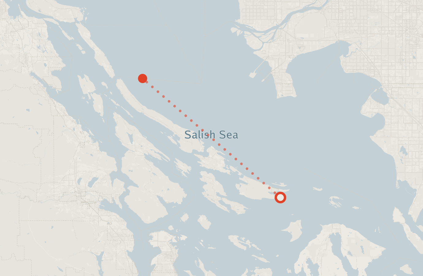 Activity map — real sighting points on an OpenStreetMap basemap