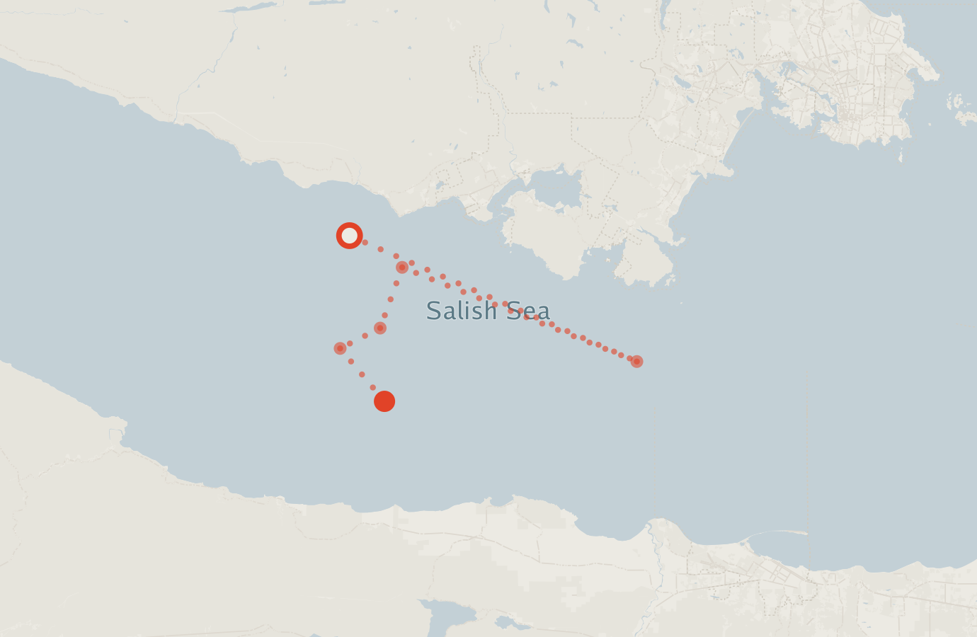 Activity map — real sighting points on an OpenStreetMap basemap