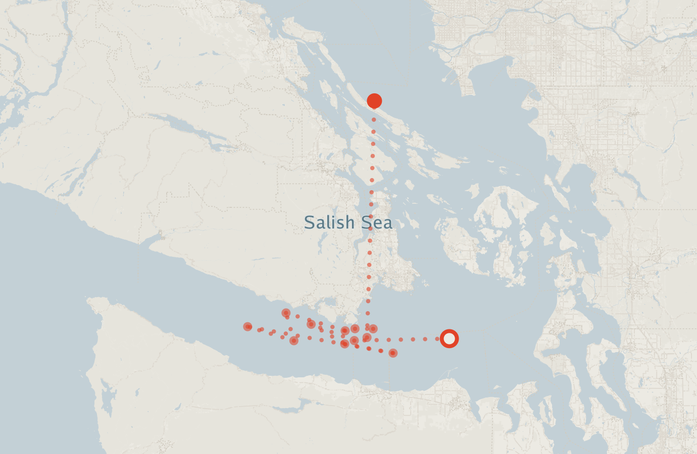 Activity map — real sighting points on an OpenStreetMap basemap