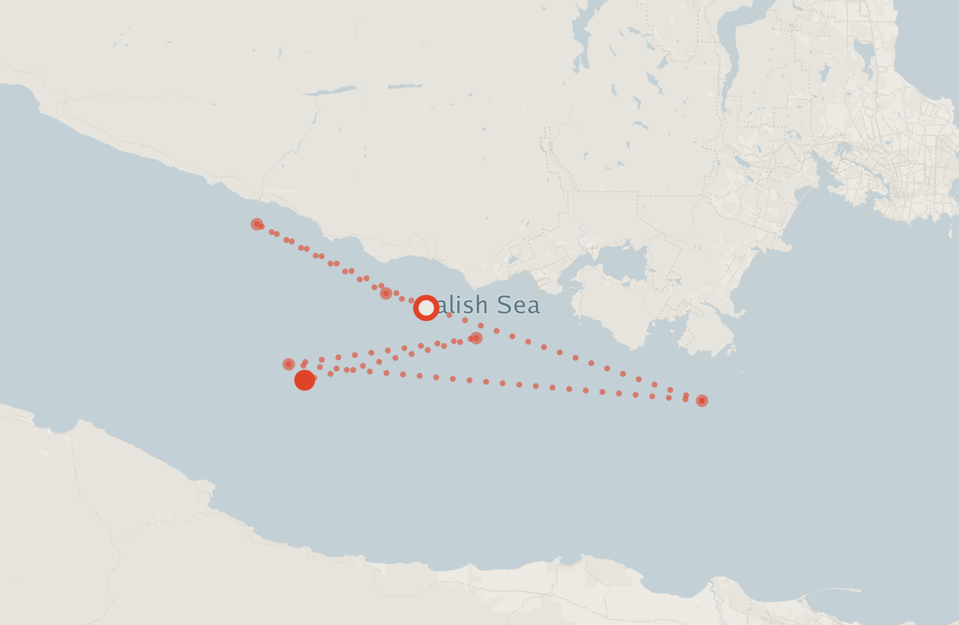 Activity map — real sighting points on an OpenStreetMap basemap
