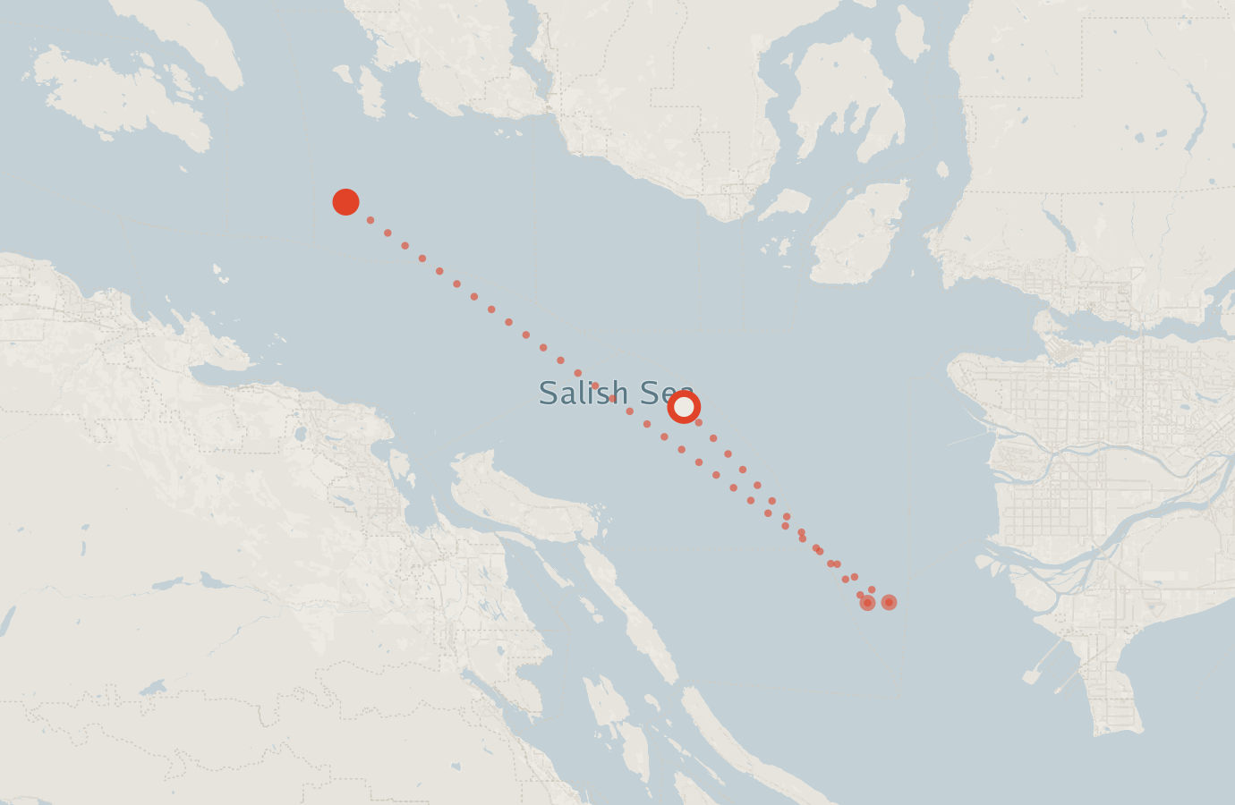 Activity map — real sighting points on an OpenStreetMap basemap