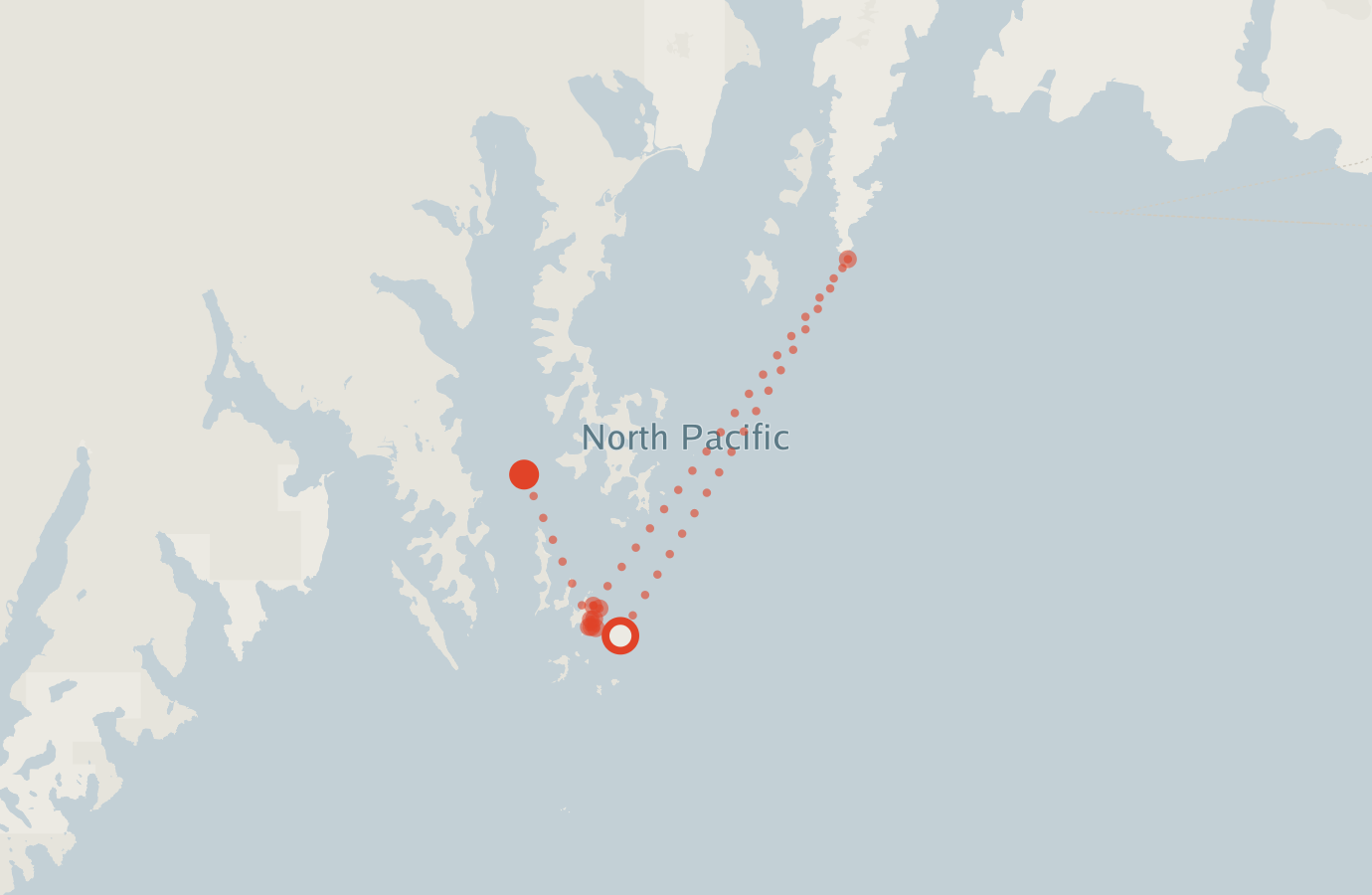 Activity map — real sighting points on an OpenStreetMap basemap