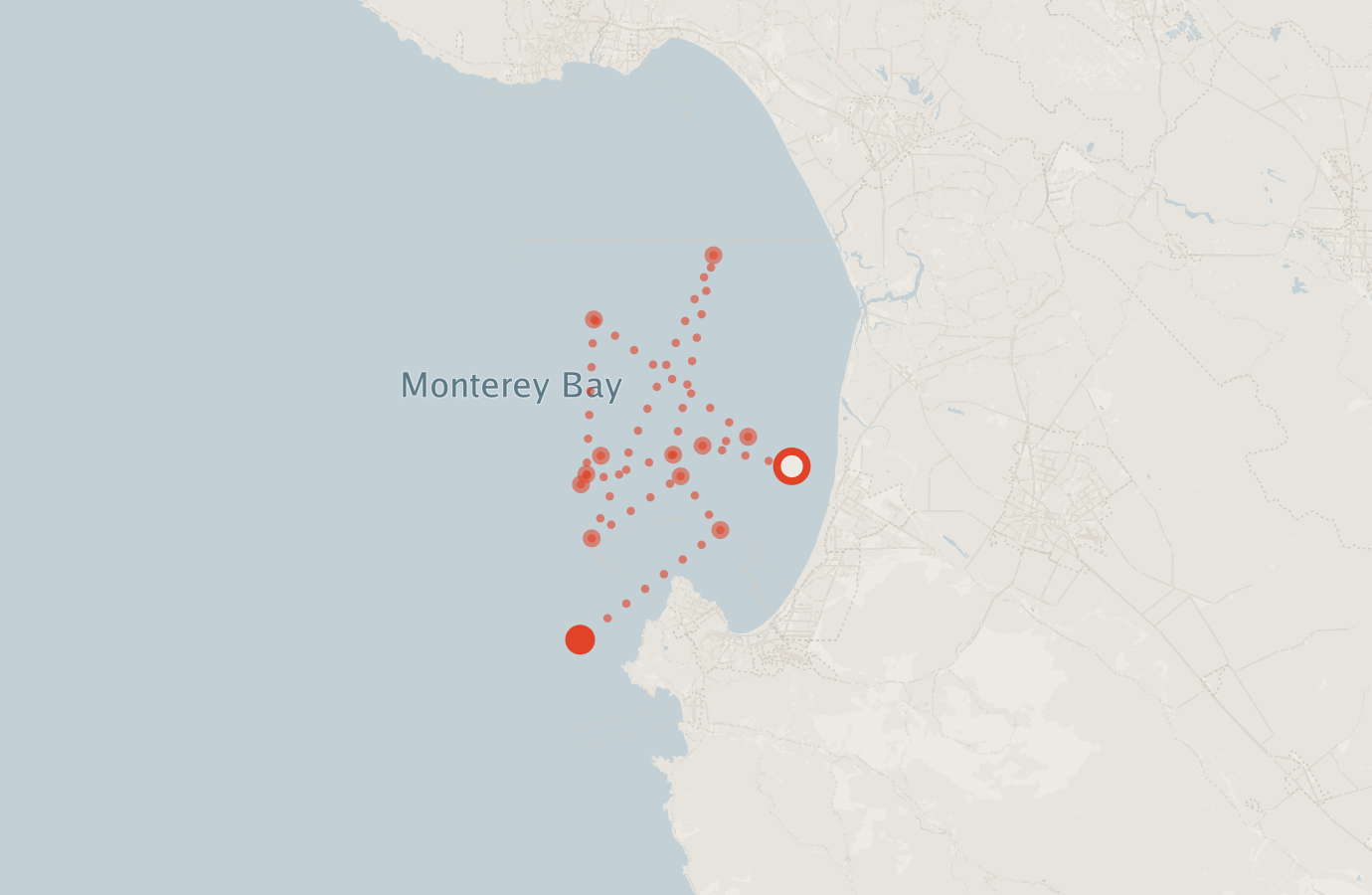 Activity map — real sighting points on an OpenStreetMap basemap