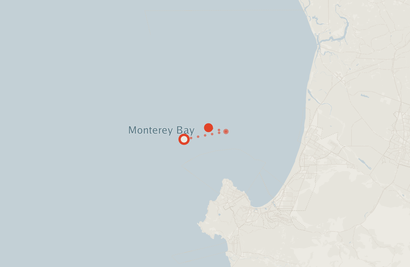 Activity map — real sighting points on an OpenStreetMap basemap