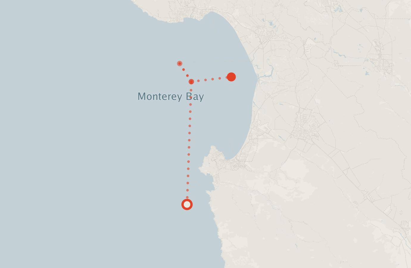 Activity map — real sighting points on an OpenStreetMap basemap