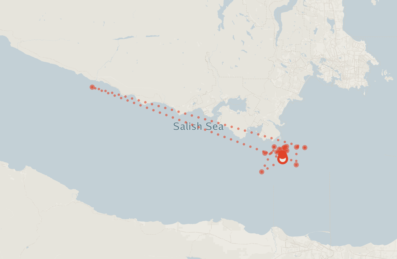 Activity map — real sighting points on an OpenStreetMap basemap