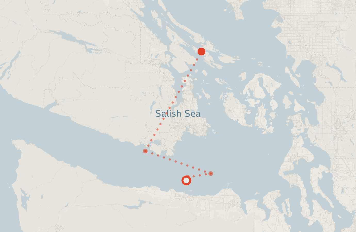 Activity map — real sighting points on an OpenStreetMap basemap