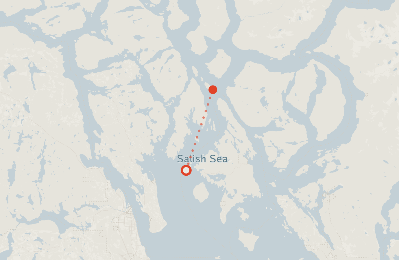 Activity map — real sighting points on an OpenStreetMap basemap