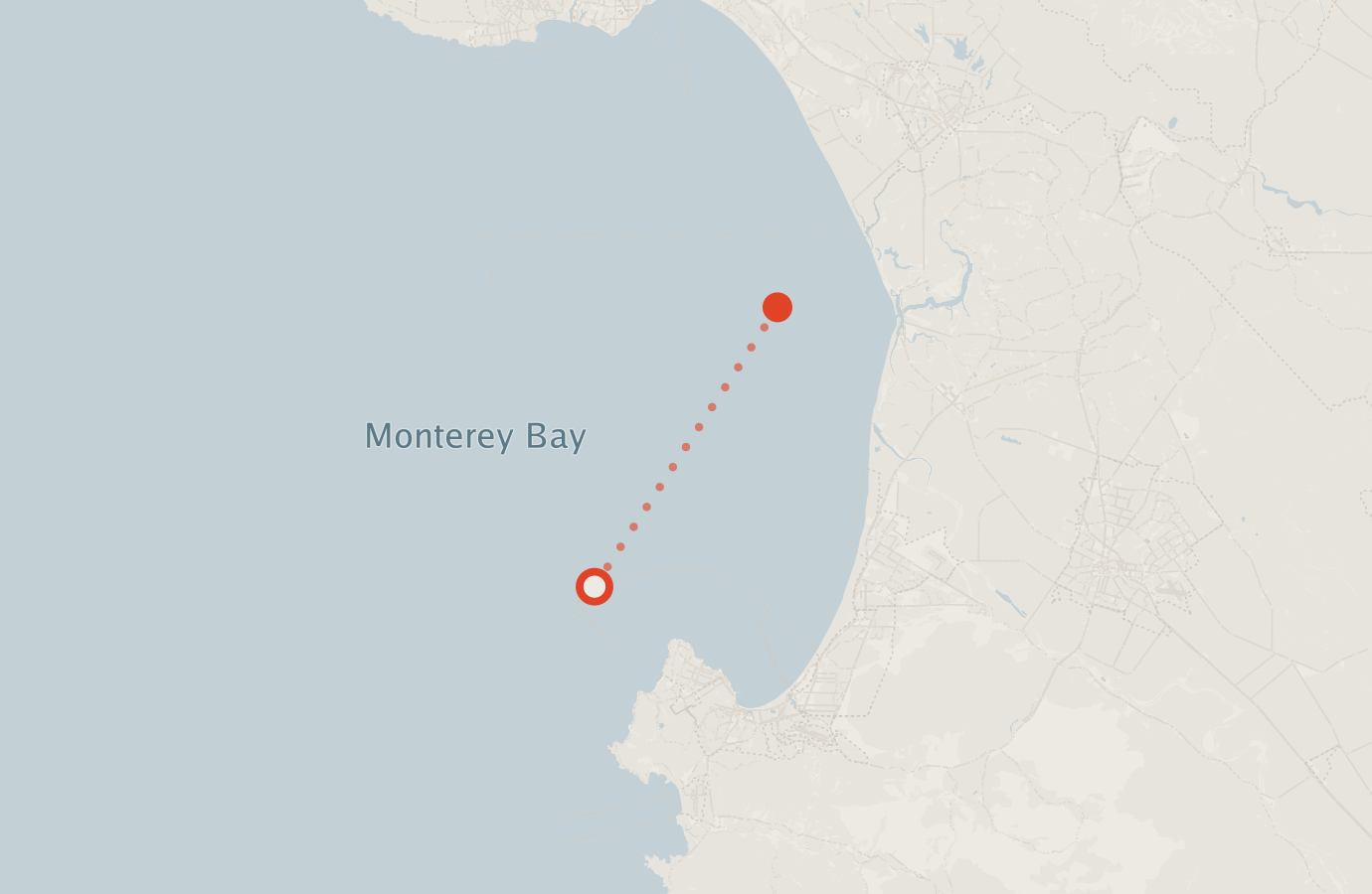 Activity map — real sighting points on an OpenStreetMap basemap