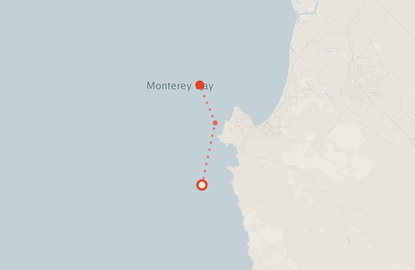 Activity map — real sighting points on an OpenStreetMap basemap