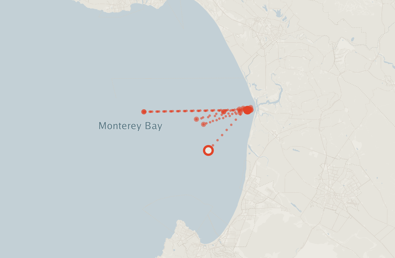 Activity map — real sighting points on an OpenStreetMap basemap