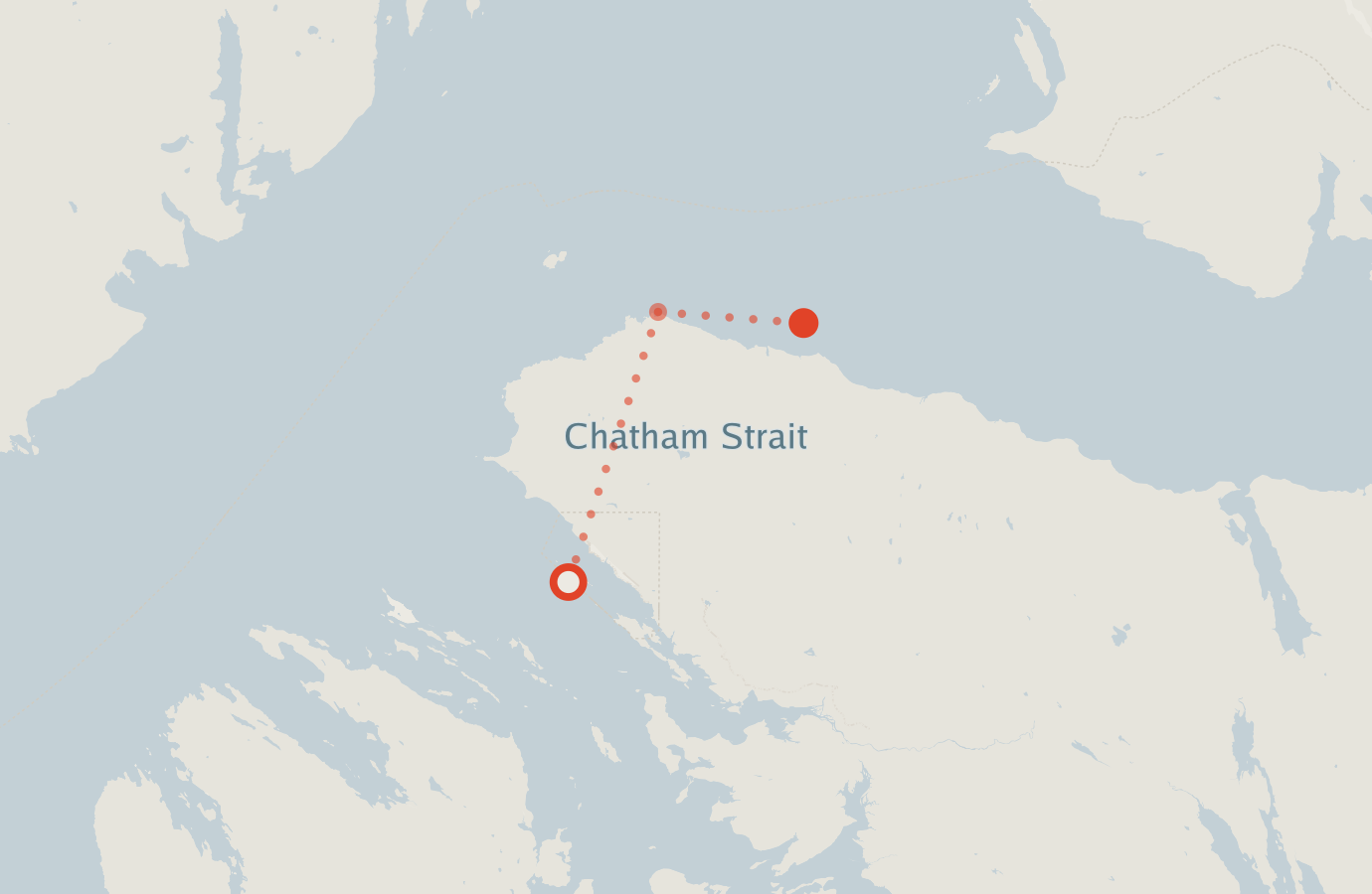 Activity map — real sighting points on an OpenStreetMap basemap