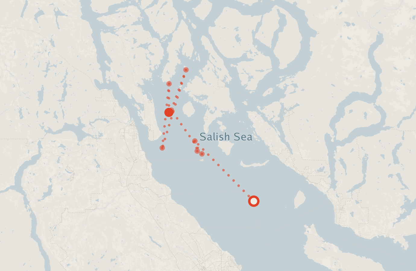 Activity map — real sighting points on an OpenStreetMap basemap