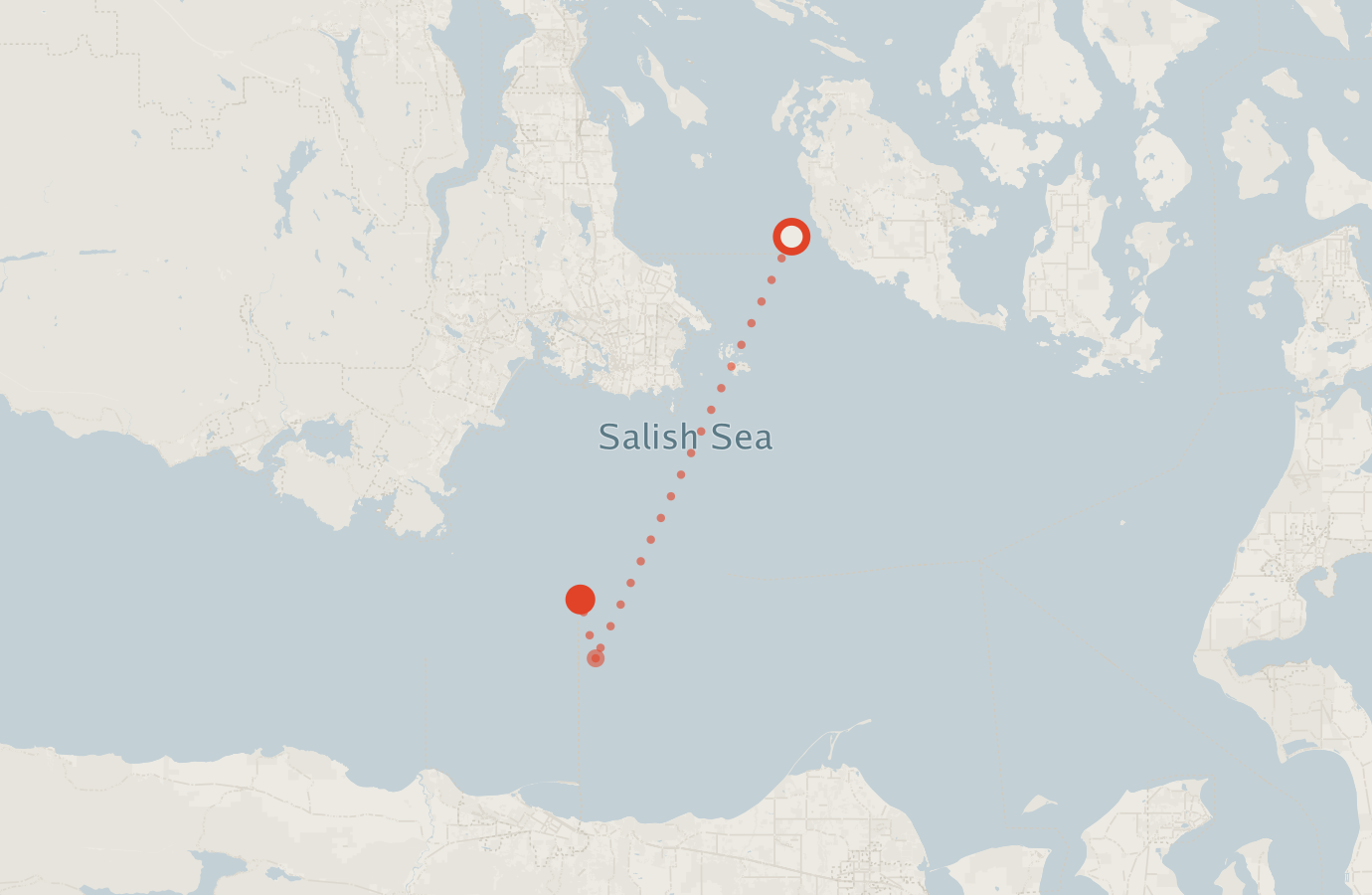 Activity map — real sighting points on an OpenStreetMap basemap