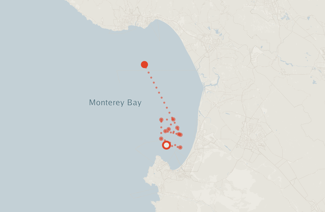 Activity map — real sighting points on an OpenStreetMap basemap