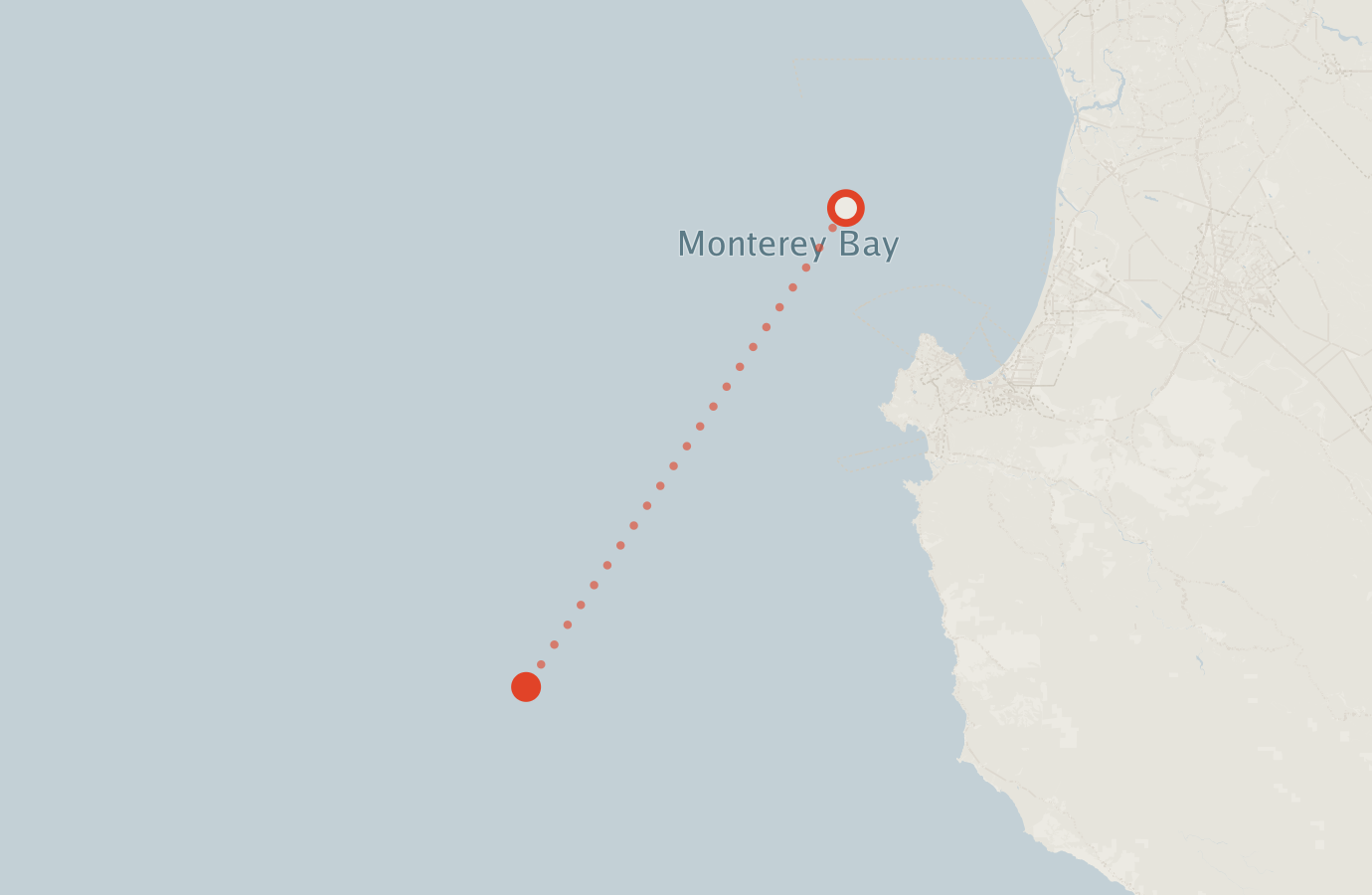 Activity map — real sighting points on an OpenStreetMap basemap