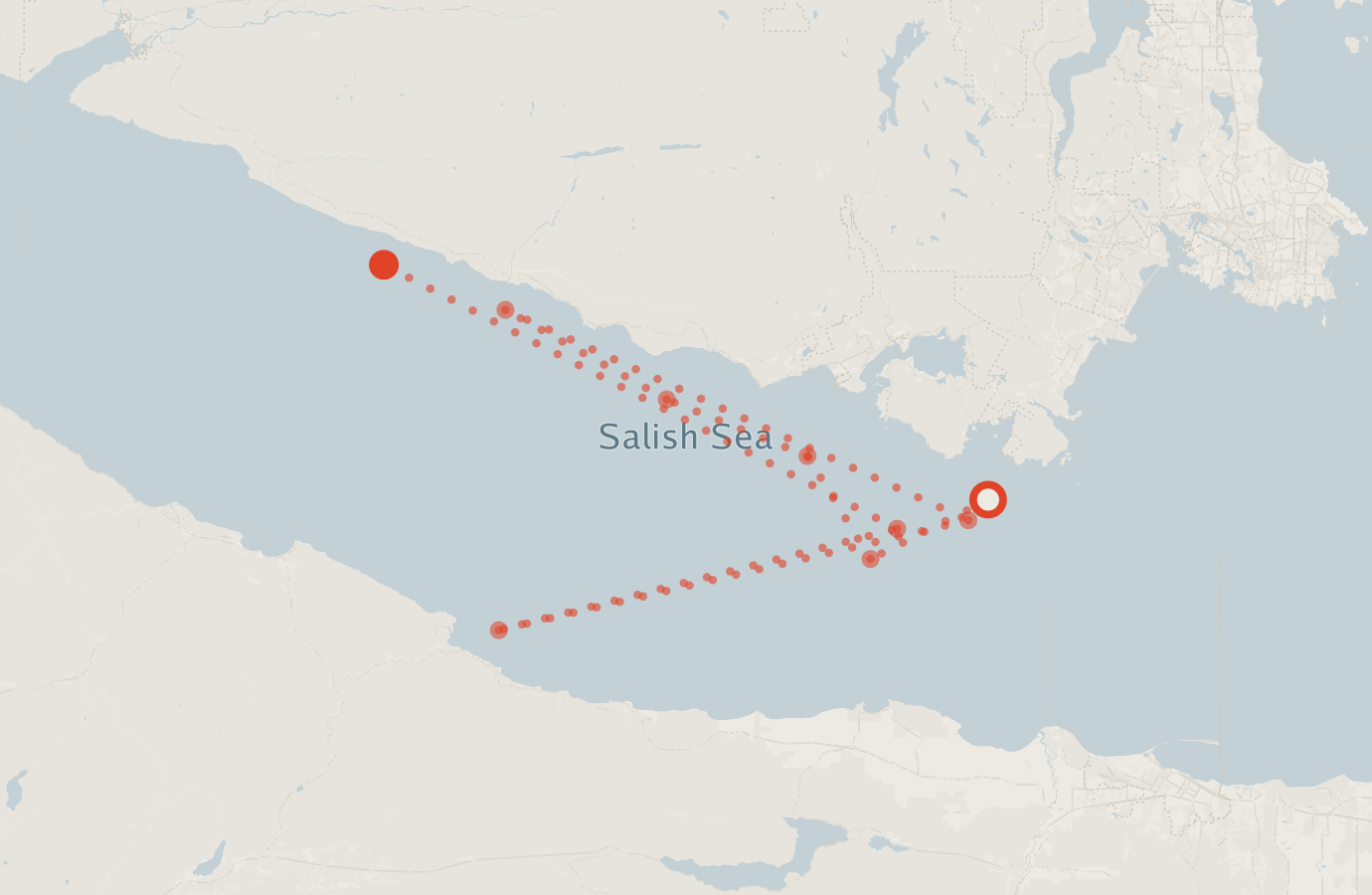 Activity map — real sighting points on an OpenStreetMap basemap
