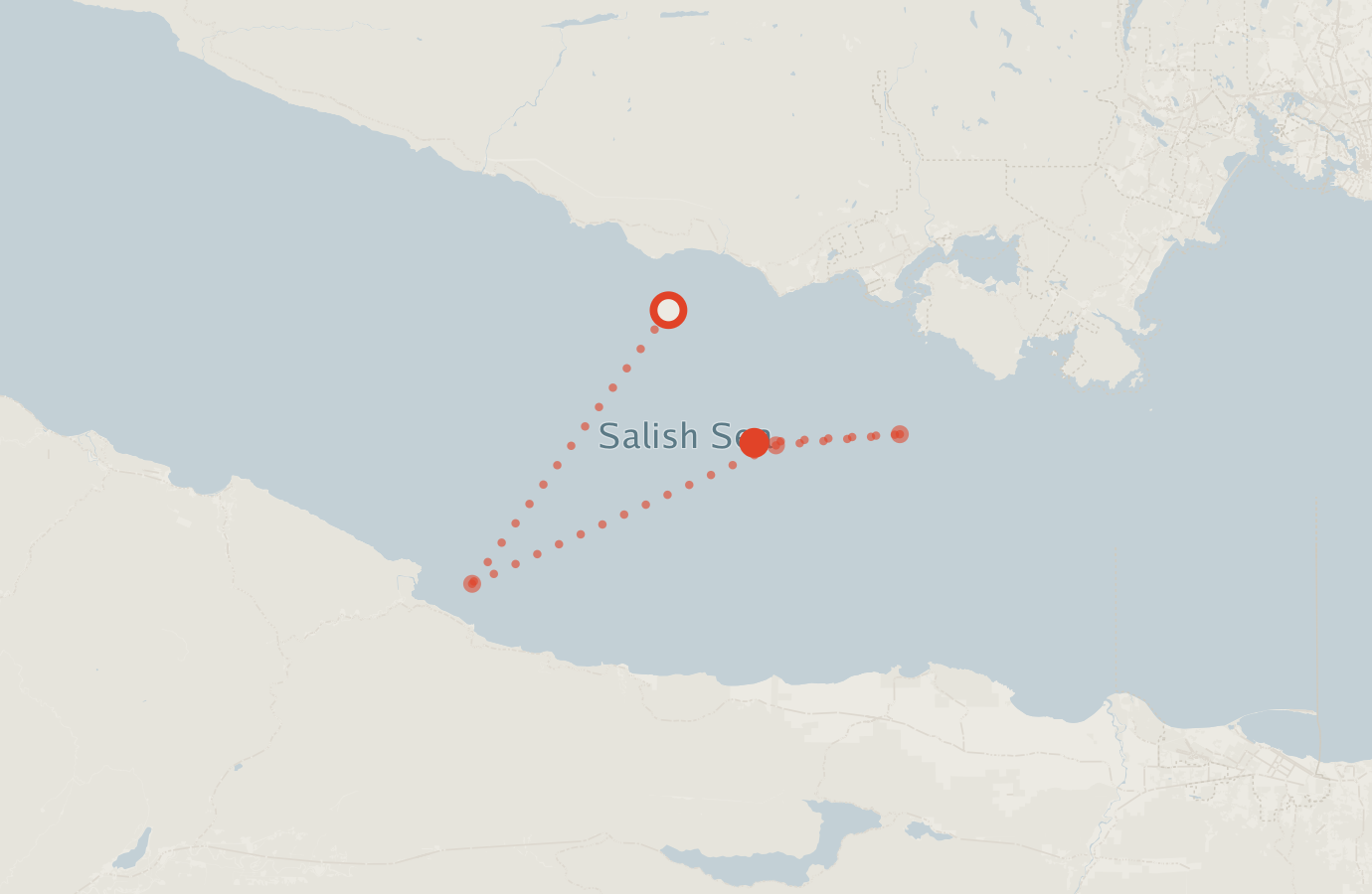 Activity map — real sighting points on an OpenStreetMap basemap