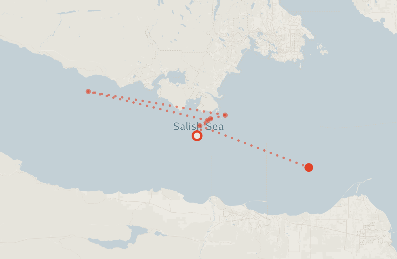 Activity map — real sighting points on an OpenStreetMap basemap