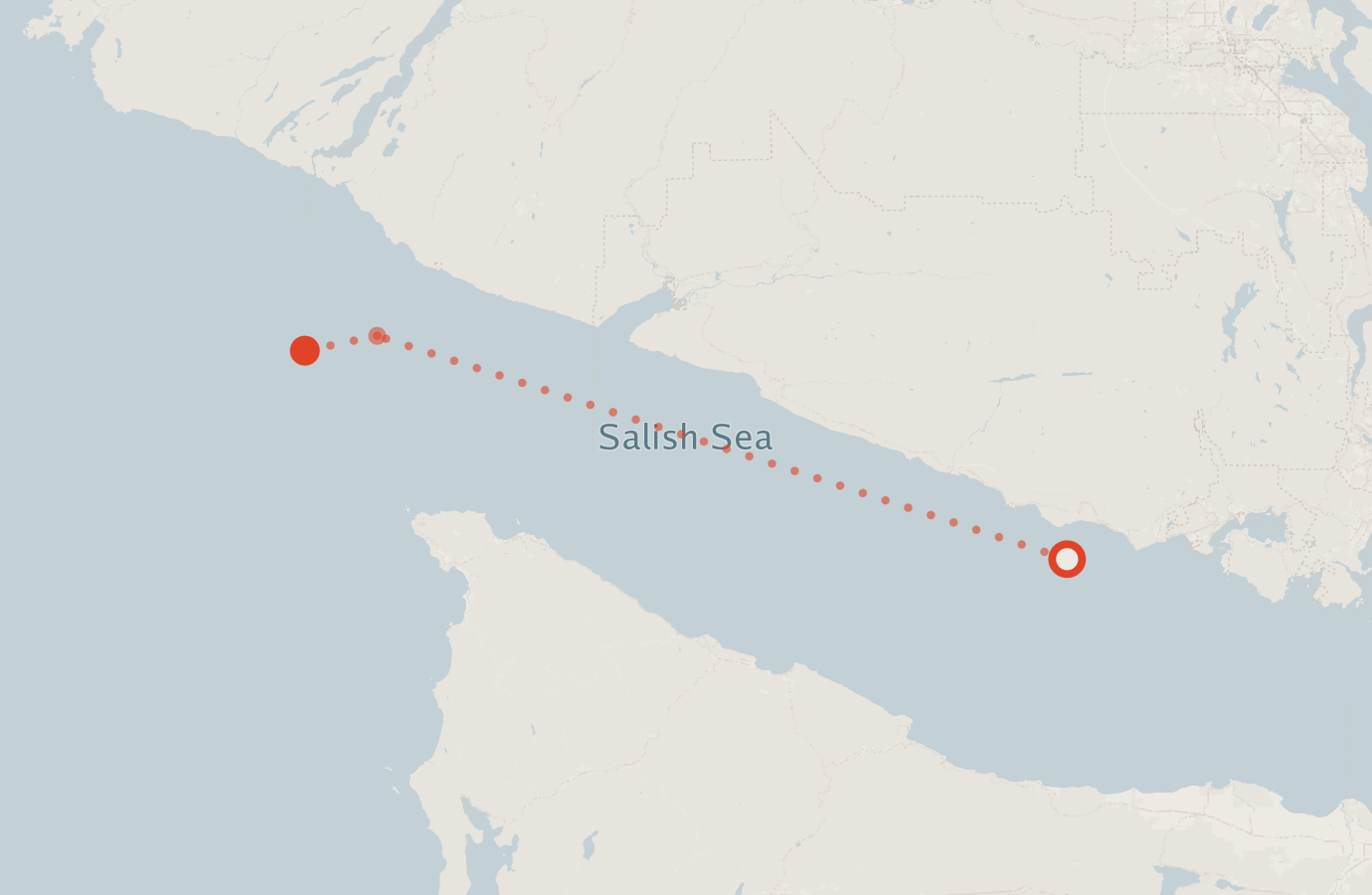 Activity map — real sighting points on an OpenStreetMap basemap