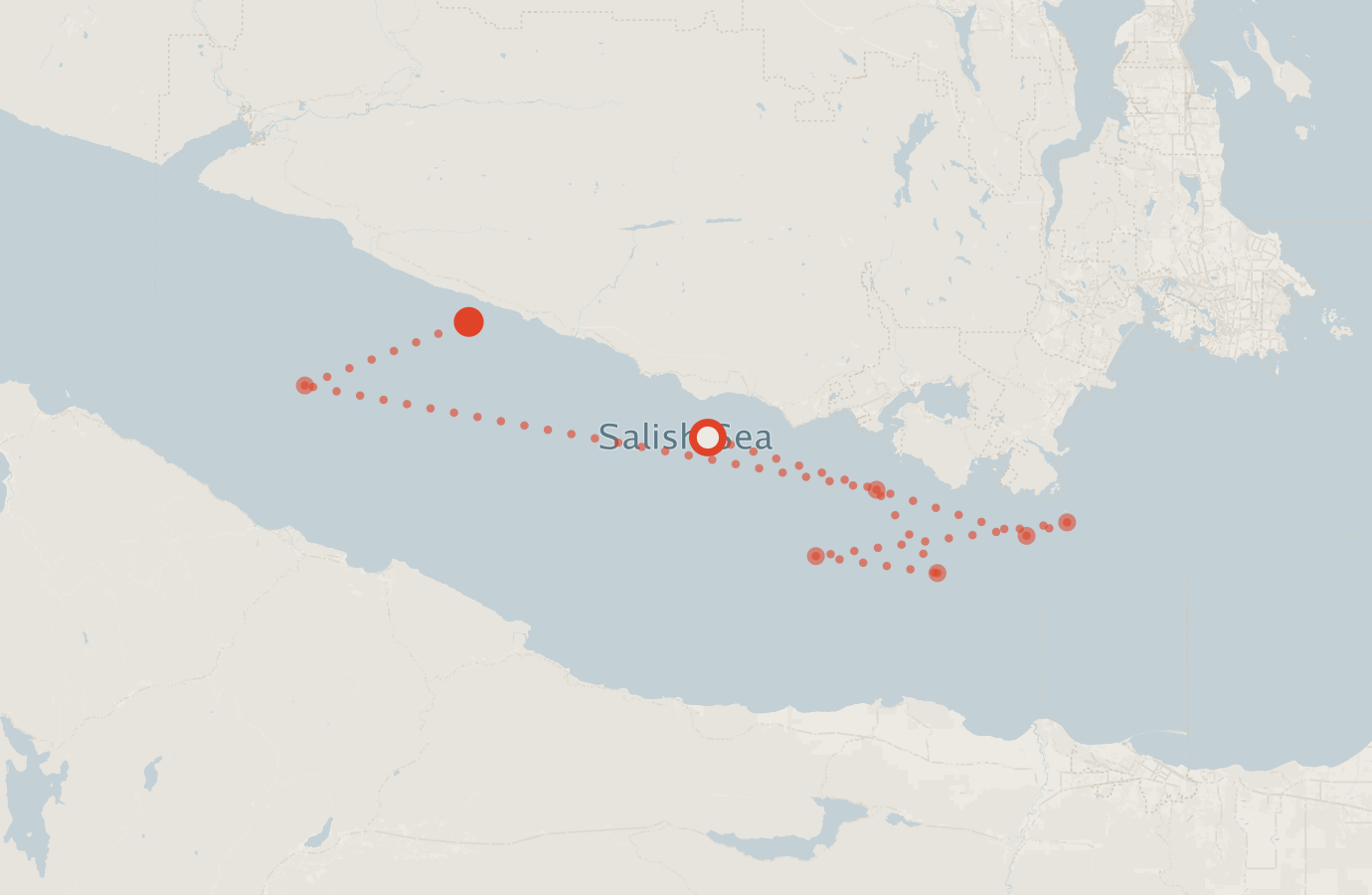 Activity map — real sighting points on an OpenStreetMap basemap