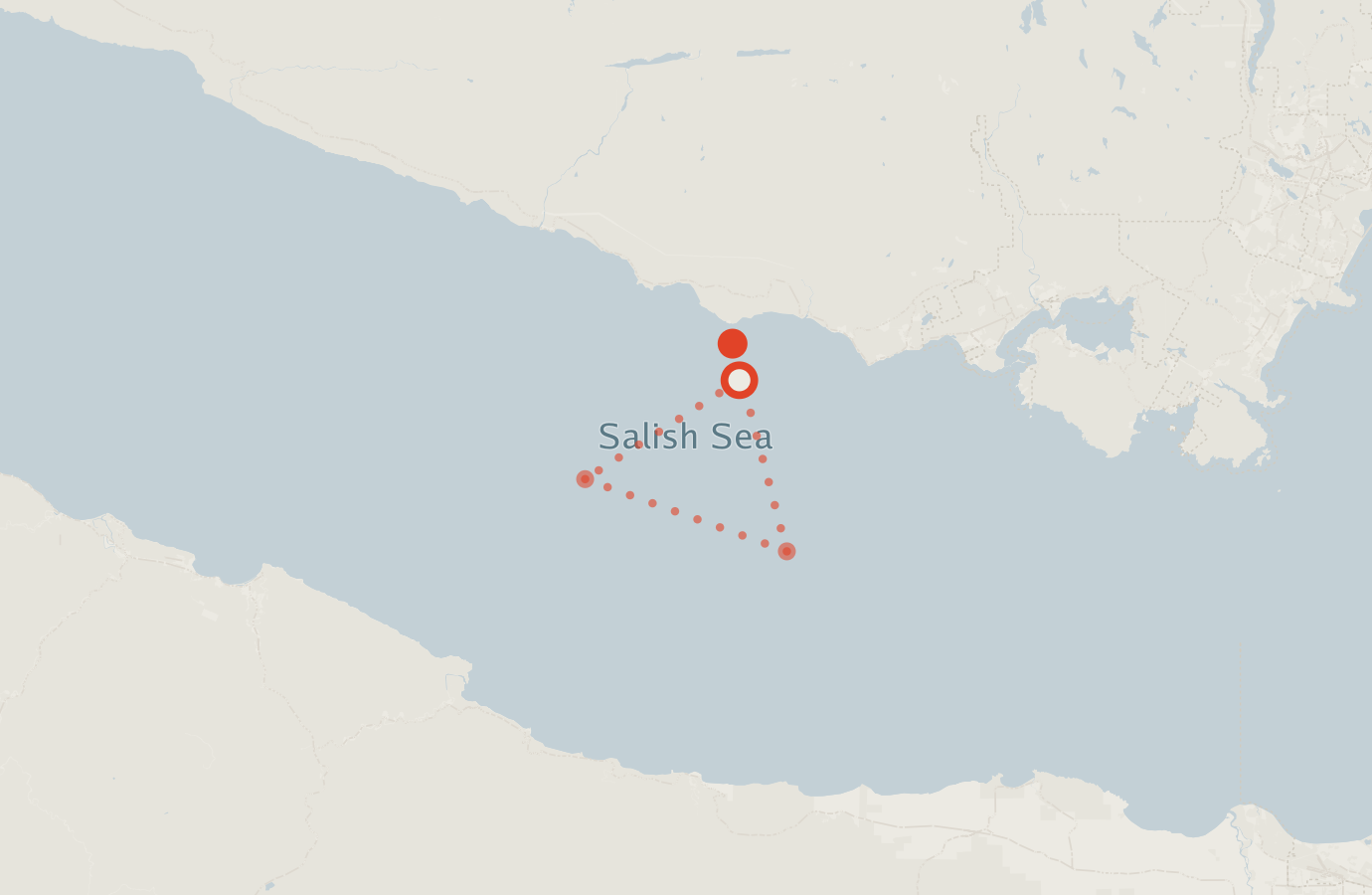 Activity map — real sighting points on an OpenStreetMap basemap