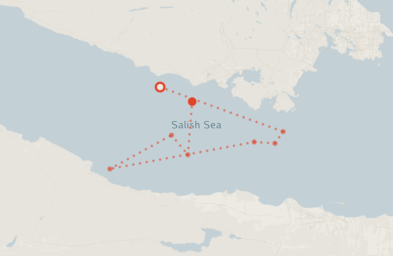 Activity map — real sighting points on an OpenStreetMap basemap