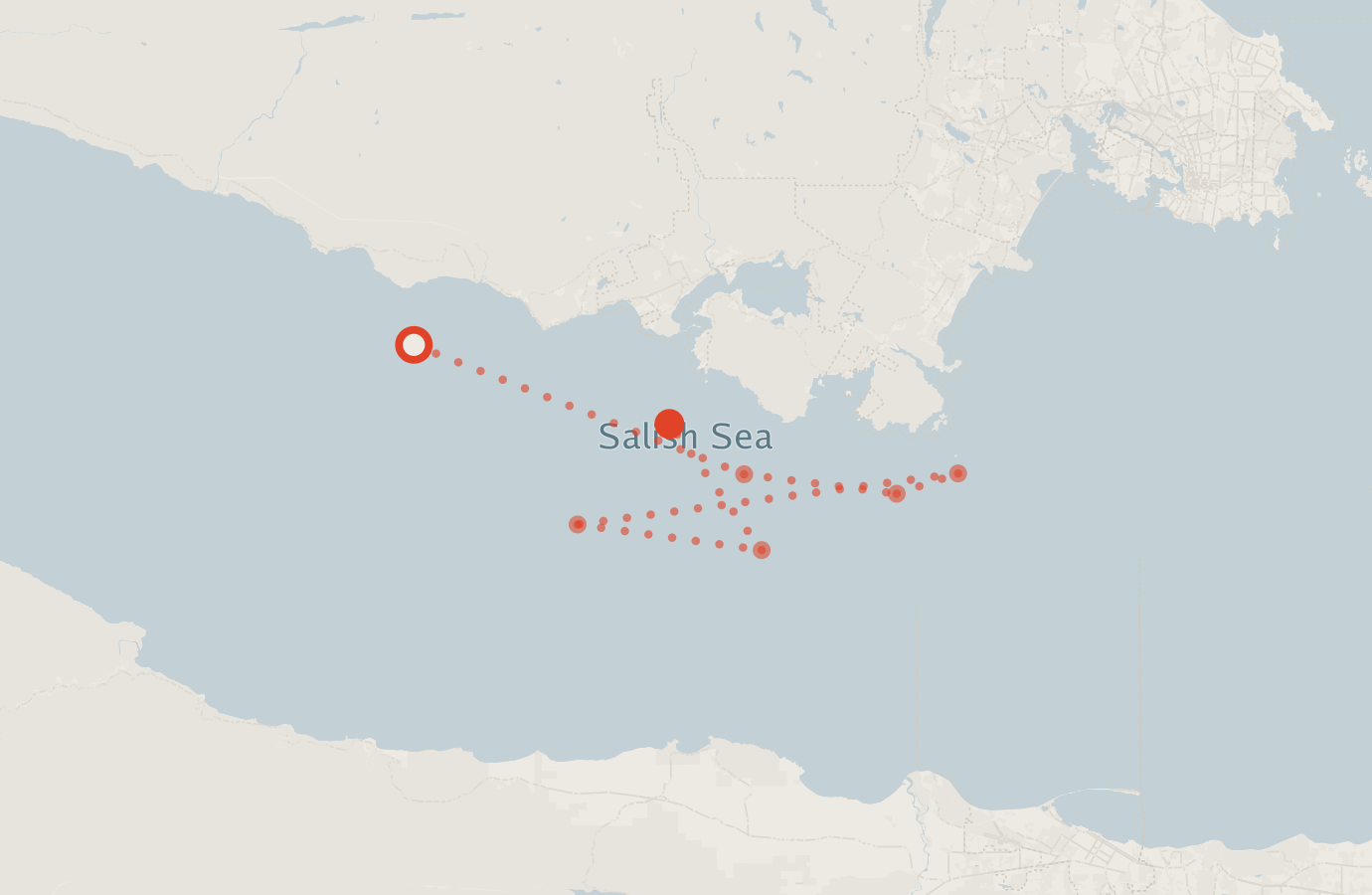 Activity map — real sighting points on an OpenStreetMap basemap