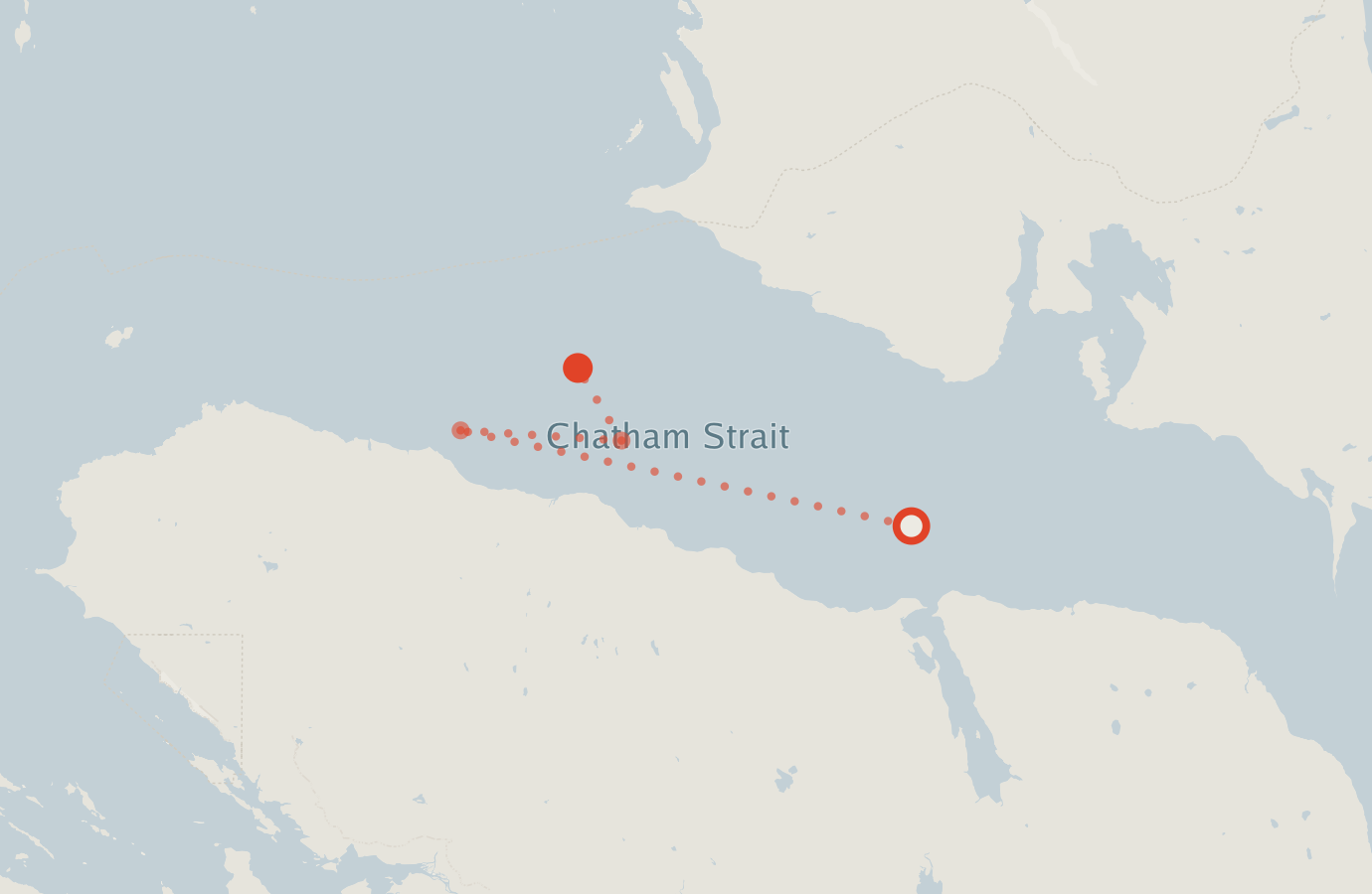 Activity map — real sighting points on an OpenStreetMap basemap