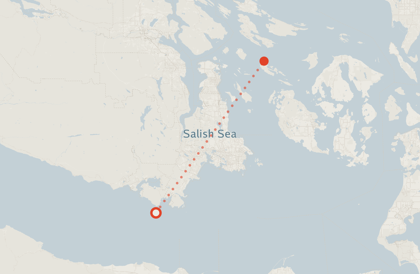 Activity map — real sighting points on an OpenStreetMap basemap
