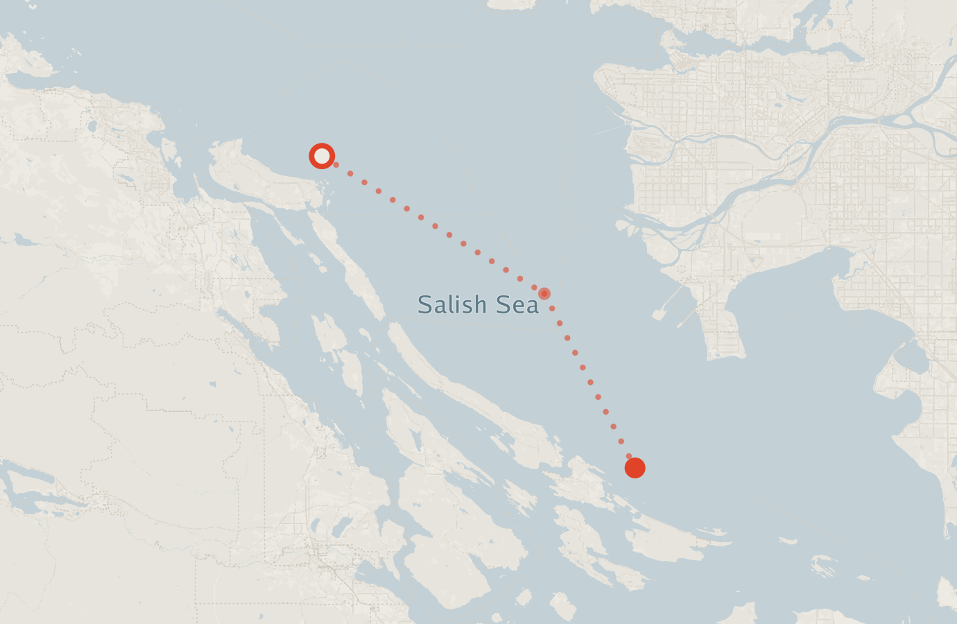 Activity map — real sighting points on an OpenStreetMap basemap