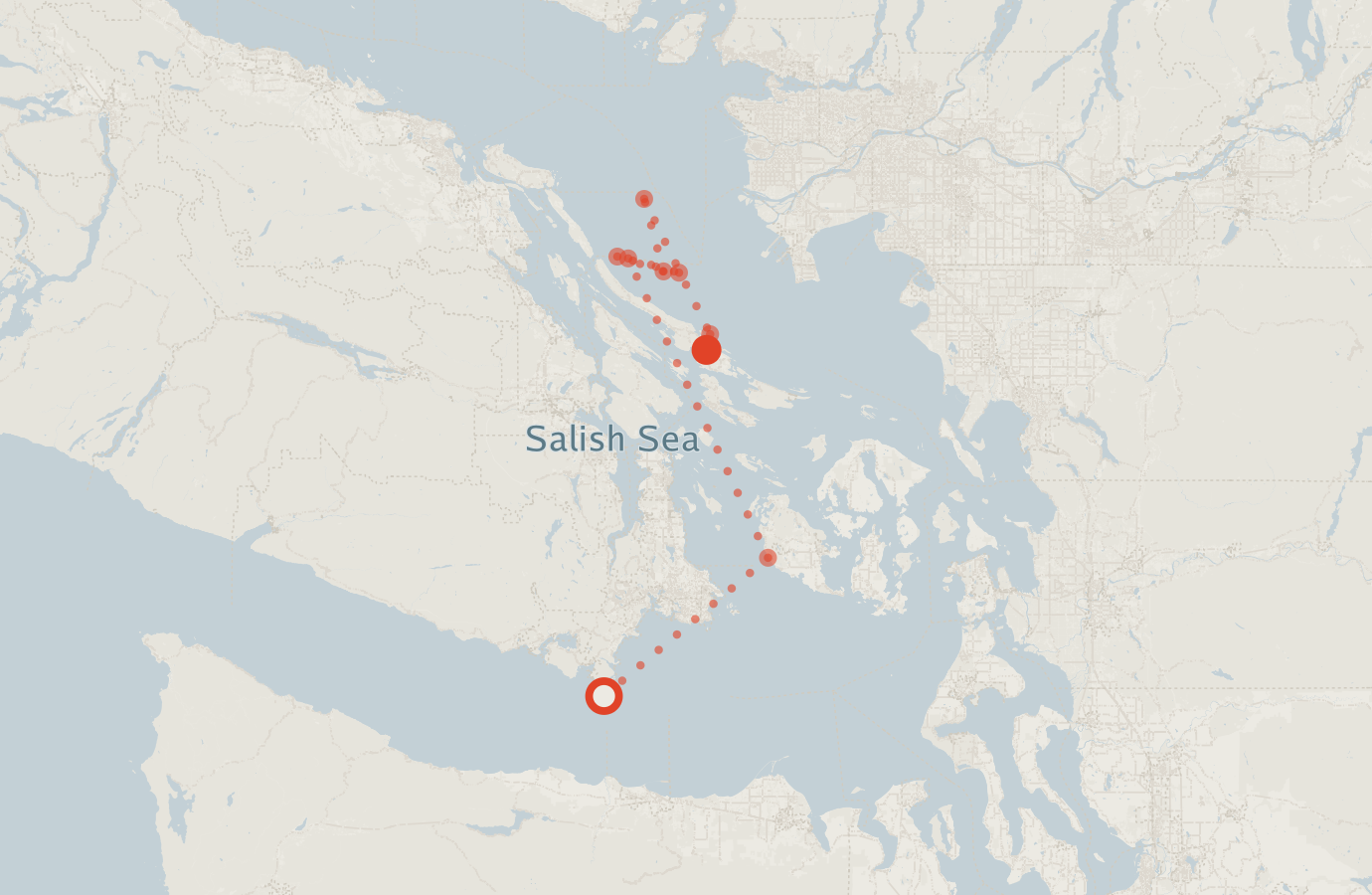 Activity map — real sighting points on an OpenStreetMap basemap