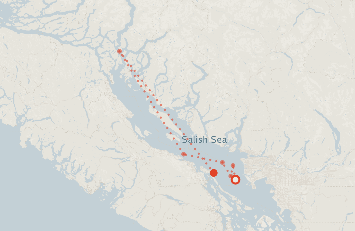 Activity map — real sighting points on an OpenStreetMap basemap