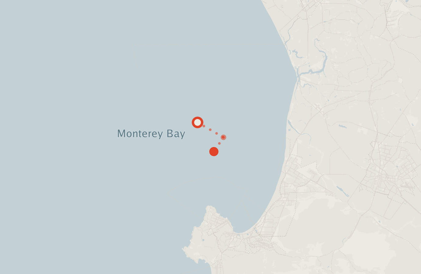 Activity map — real sighting points on an OpenStreetMap basemap