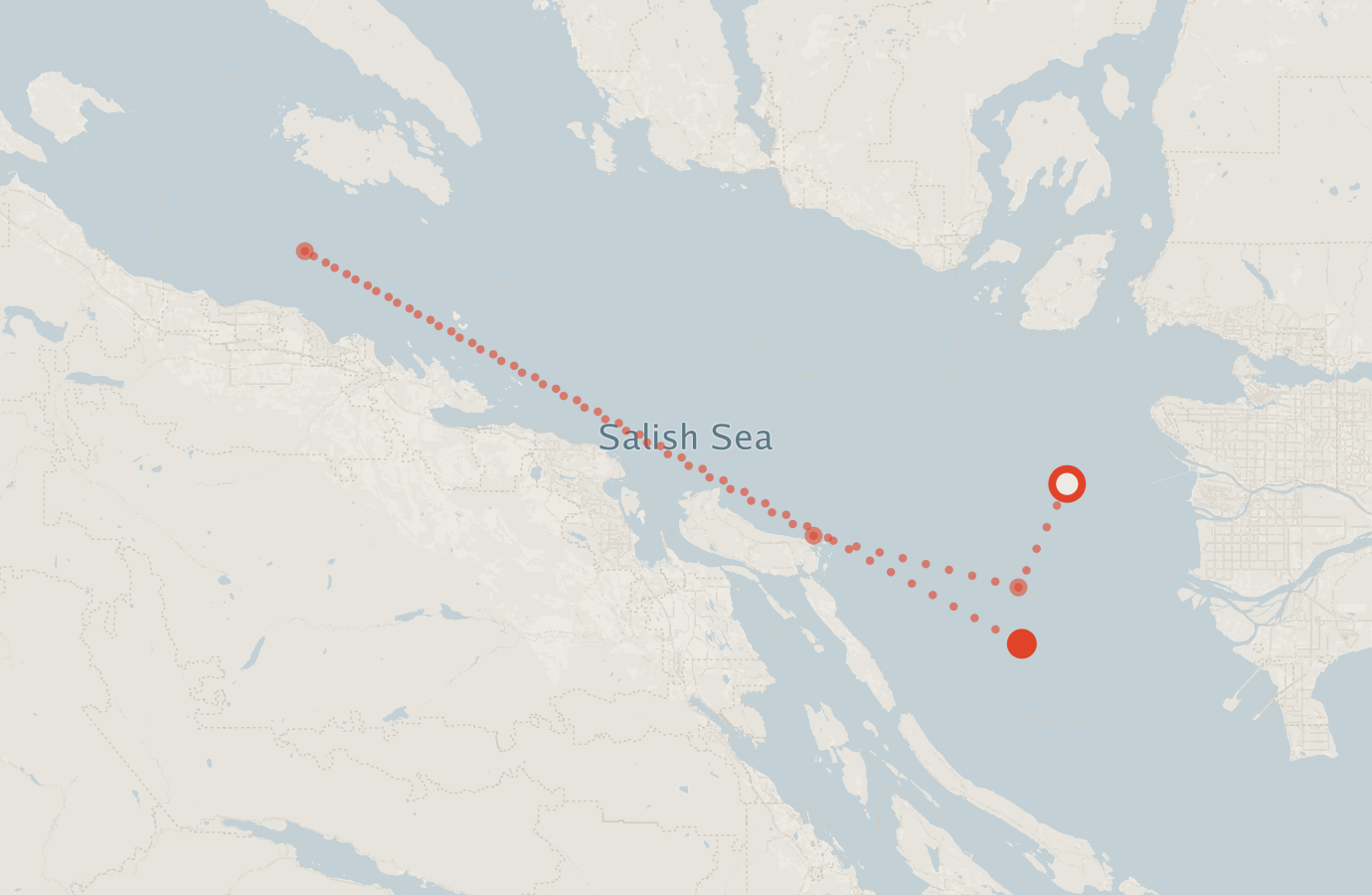 Activity map — real sighting points on an OpenStreetMap basemap