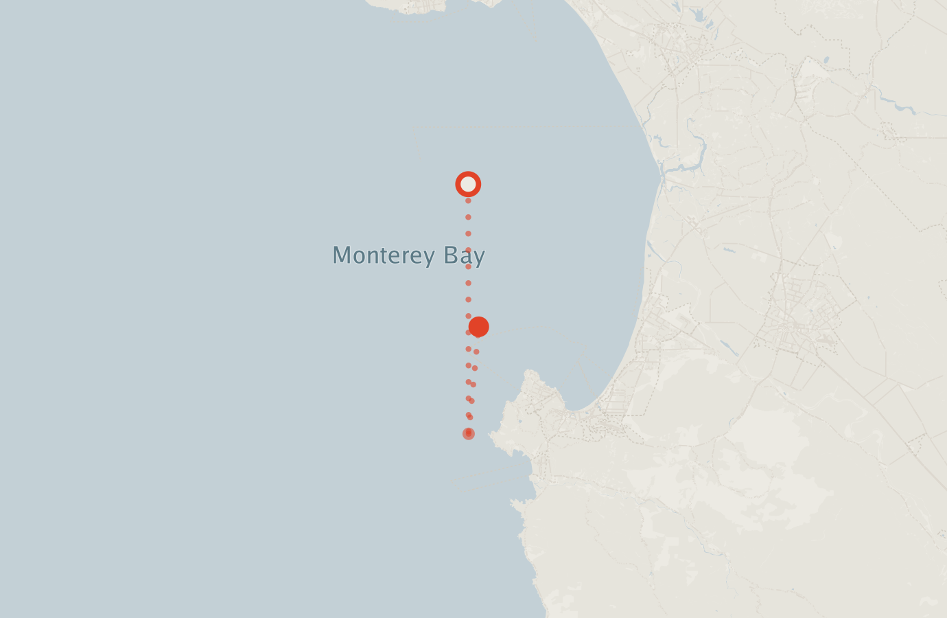 Activity map — real sighting points on an OpenStreetMap basemap