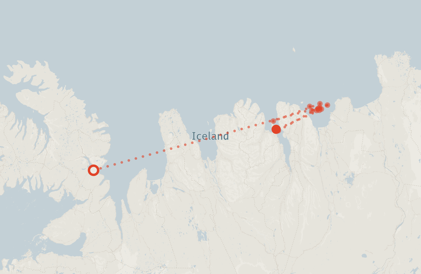 Activity map — real sighting points on an OpenStreetMap basemap