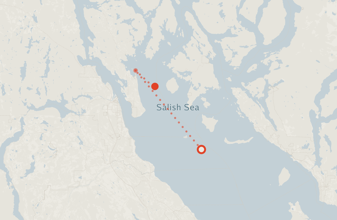 Activity map — real sighting points on an OpenStreetMap basemap