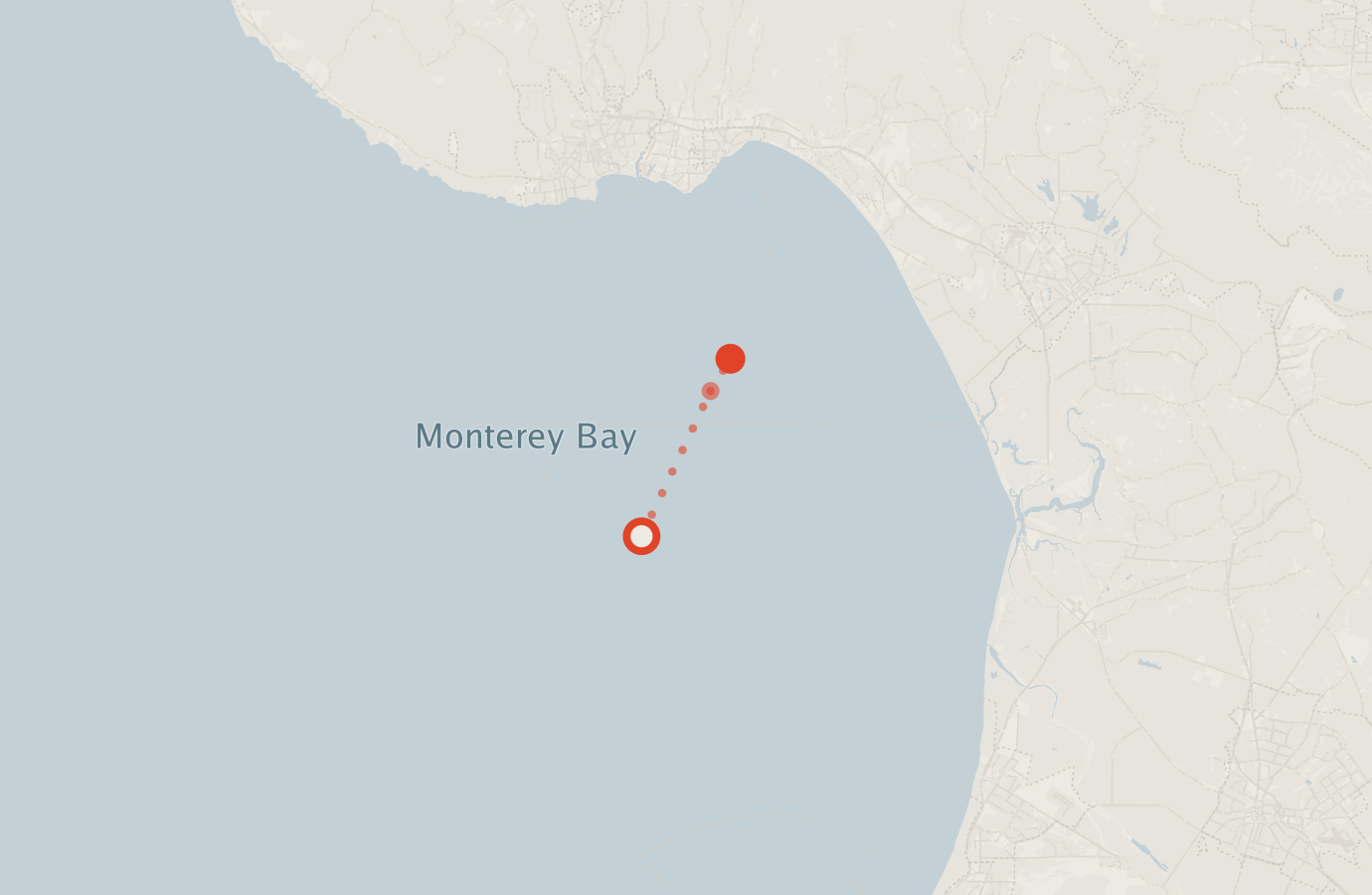 Activity map — real sighting points on an OpenStreetMap basemap