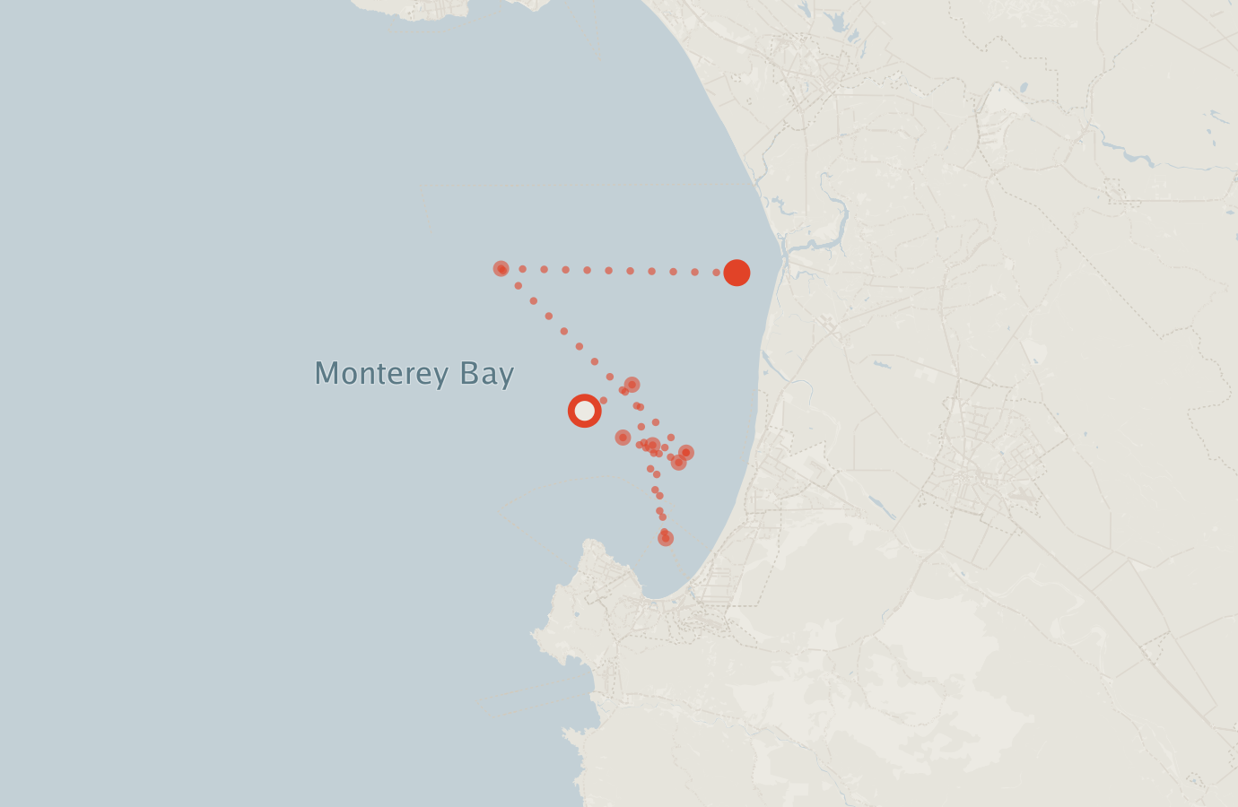 Activity map — real sighting points on an OpenStreetMap basemap