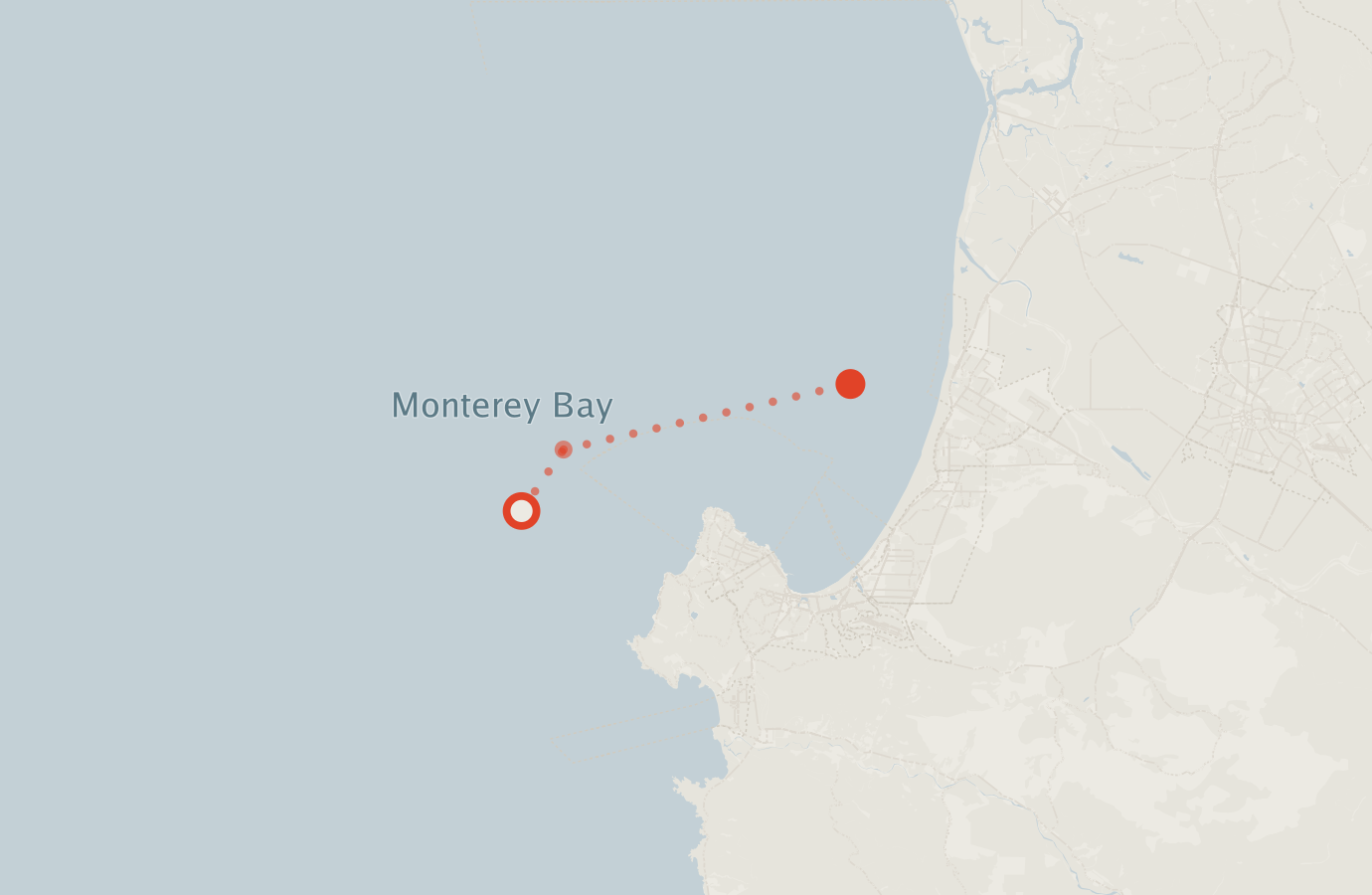 Activity map — real sighting points on an OpenStreetMap basemap