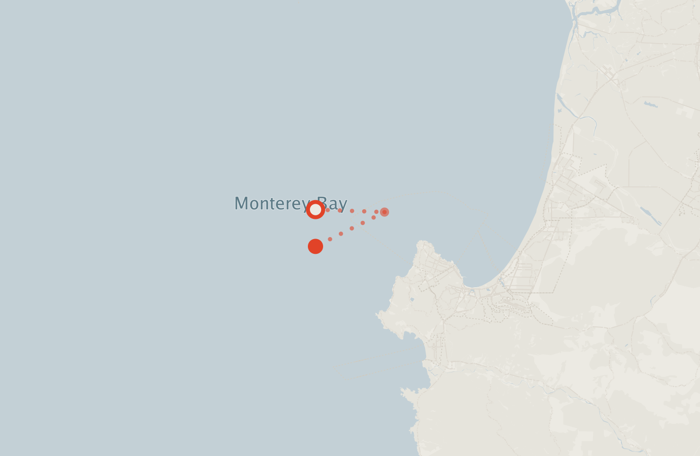 Activity map — real sighting points on an OpenStreetMap basemap
