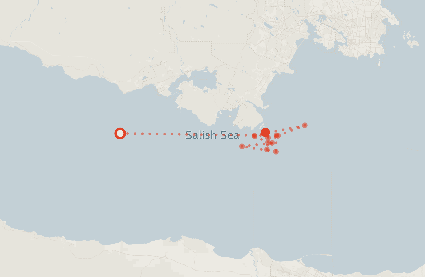 Activity map — real sighting points on an OpenStreetMap basemap