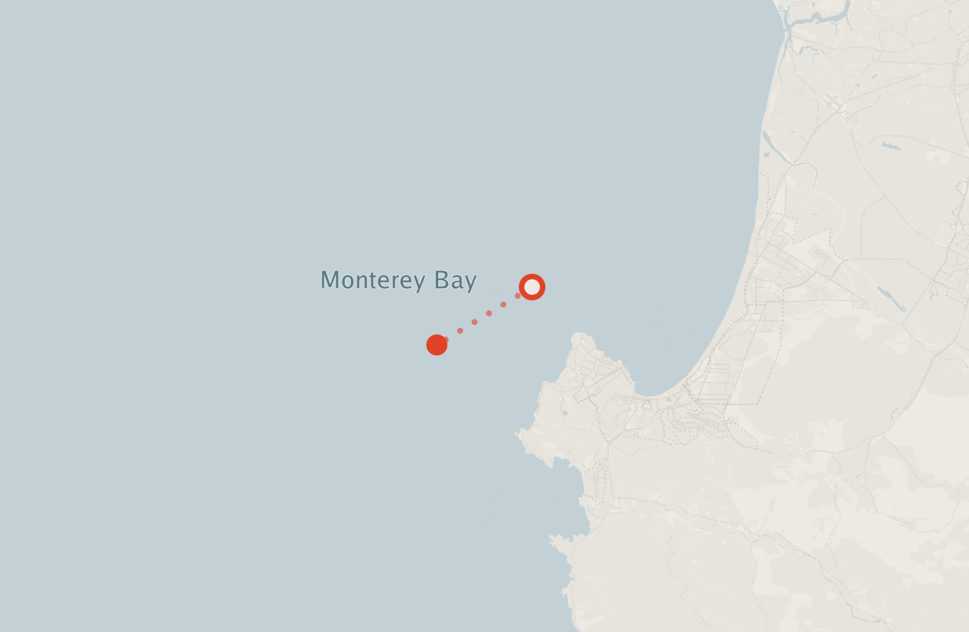 Activity map — real sighting points on an OpenStreetMap basemap