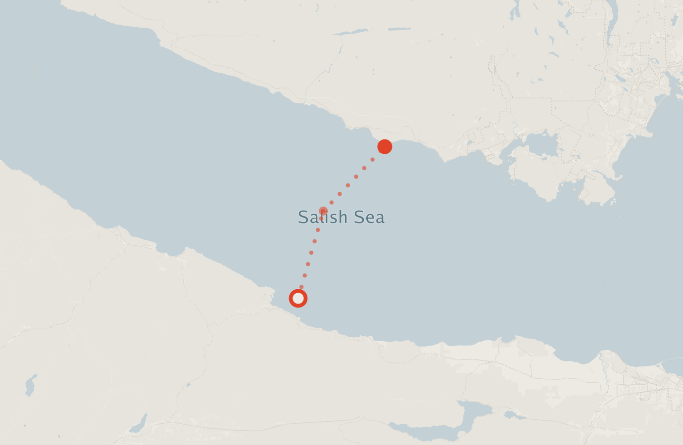Activity map — real sighting points on an OpenStreetMap basemap