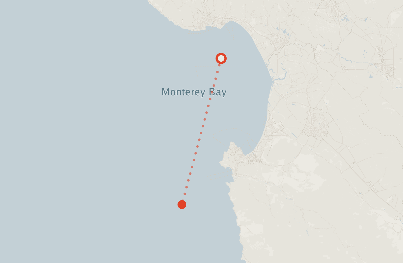 Activity map — real sighting points on an OpenStreetMap basemap
